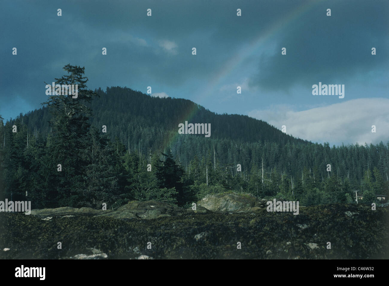Alaska Raining Rain in art hi-res stock photography and images - Alamy