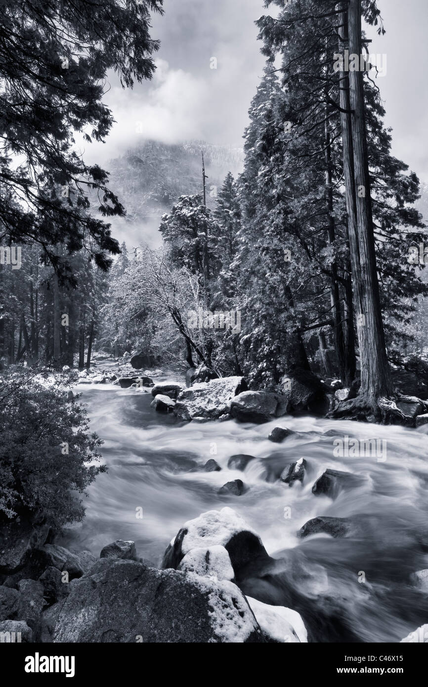 Creative atmospheric romantic black and white slow motion view of heavy