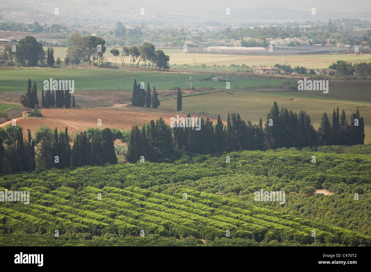 Aerial view of a orchard in fields of the Sharon Stock Photo Alamy