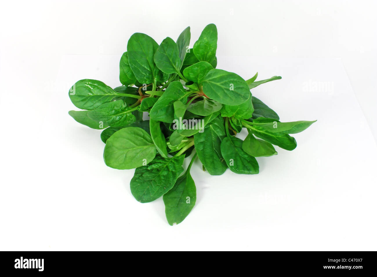 Bunch of spinach isolated on white background Stock Photo - Alamy