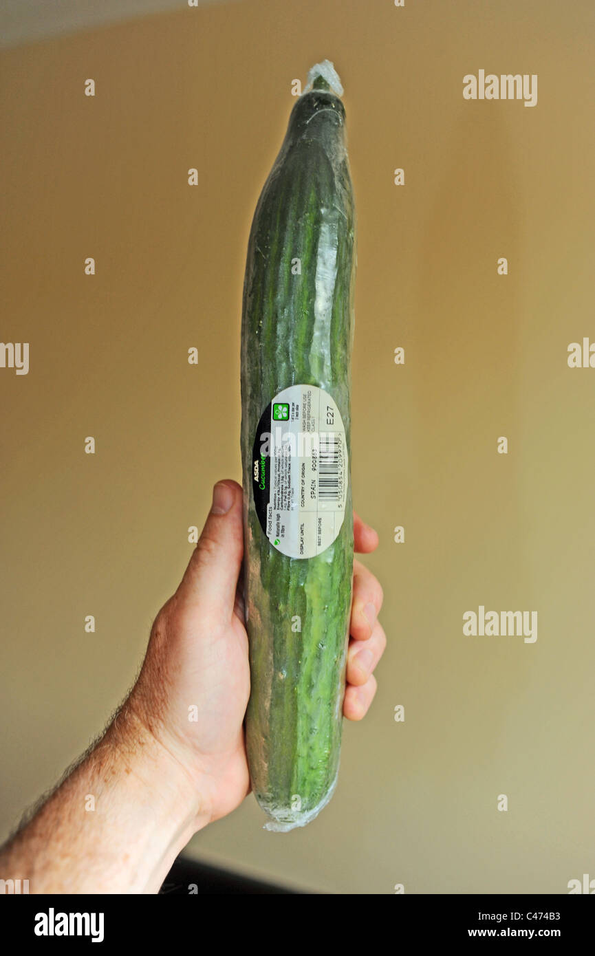 A cucumber originating from Spain bought from the Asda supermarket chain in Britain . Stock Photo