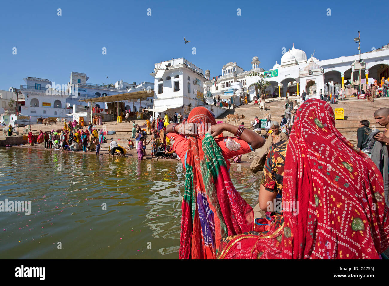 Indian women wearing traditional rajasthani saris. Pushkar lake. Rajasthan. India Stock Photo