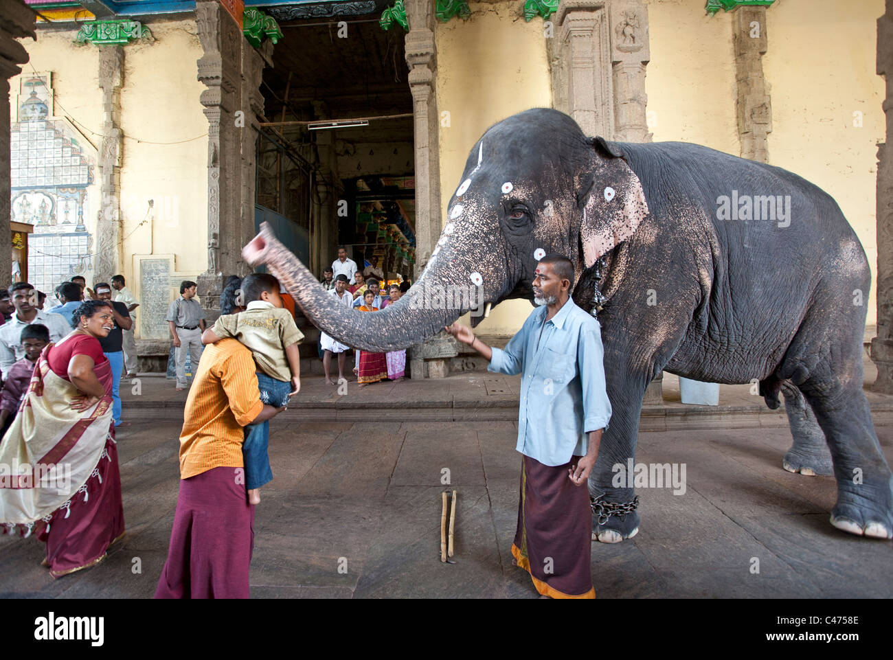 Elephant blessing a boy. Sri Meenakshi Temple. Madurai. Tamil Nadu. India Stock Photo