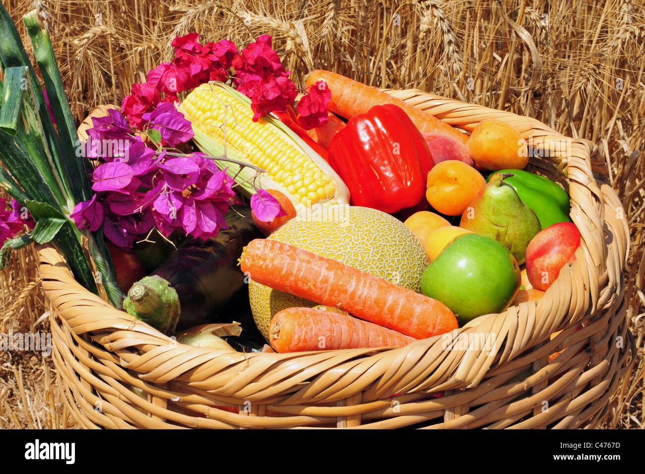 Biblical Pilgrimage Festivals High Resolution Stock Photography and