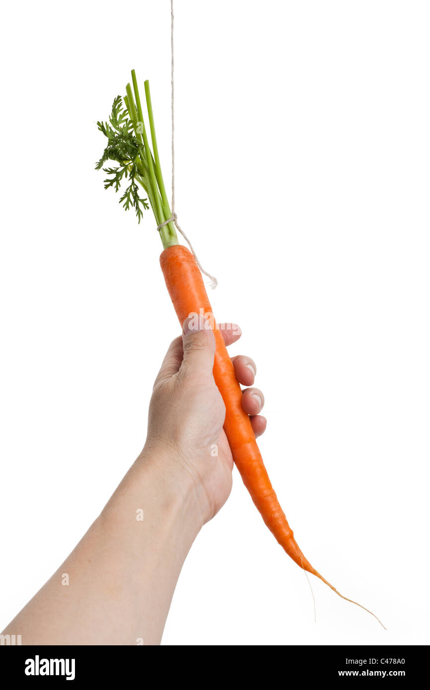 Dangling carrot with white background Stock Photo Alamy