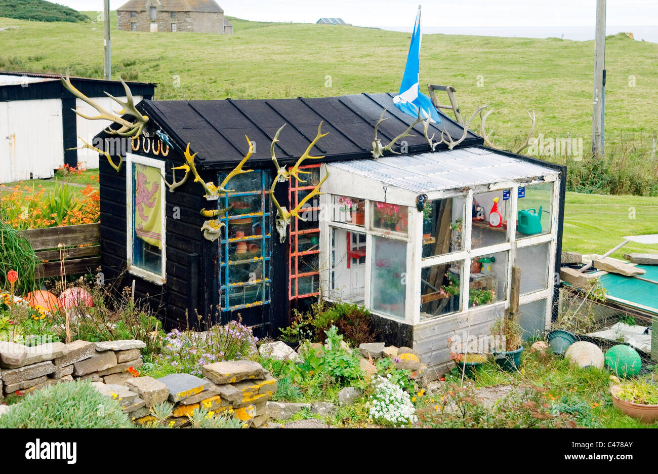 Garden shed made from old British red telephone boxes on North Sea coast at Whaligoe Harbour, Wick, Caithness, Scotland Stock Photo