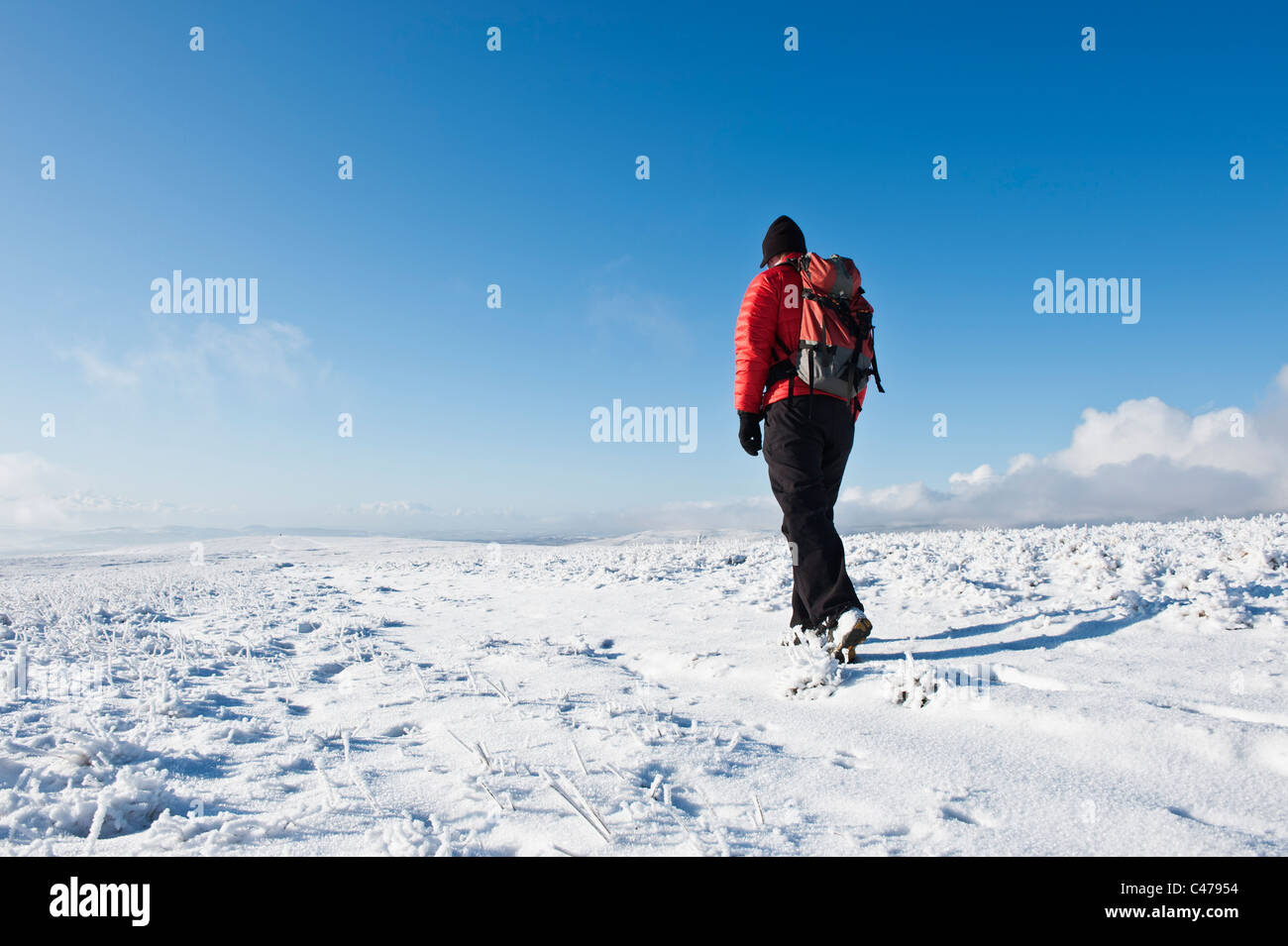 Winter hill walker on summit plateau of Fan Fawr, Brecon Beacons national park, Wales Stock Photo