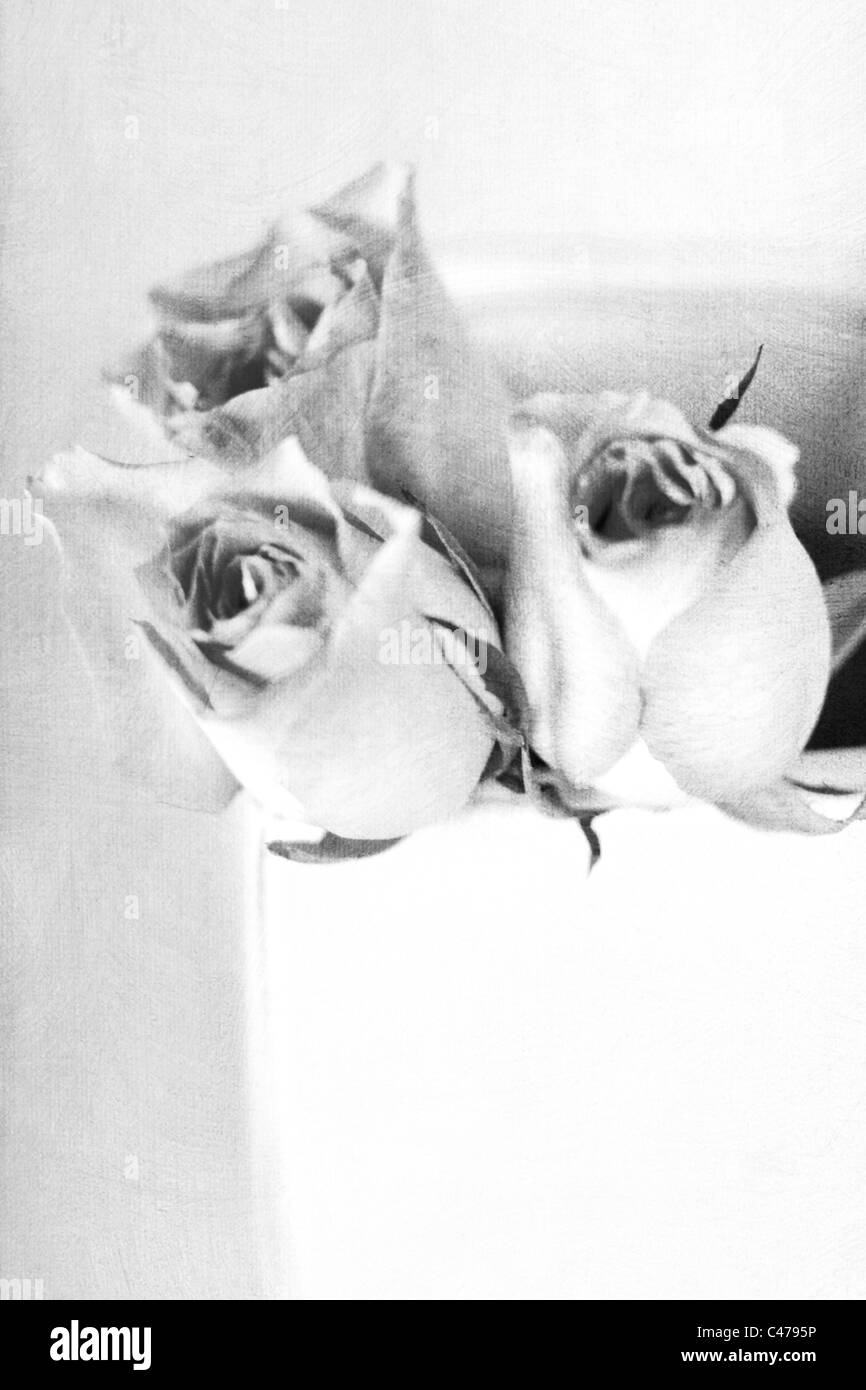 Vintage flowers Black and White Stock Photos & Images Alamy