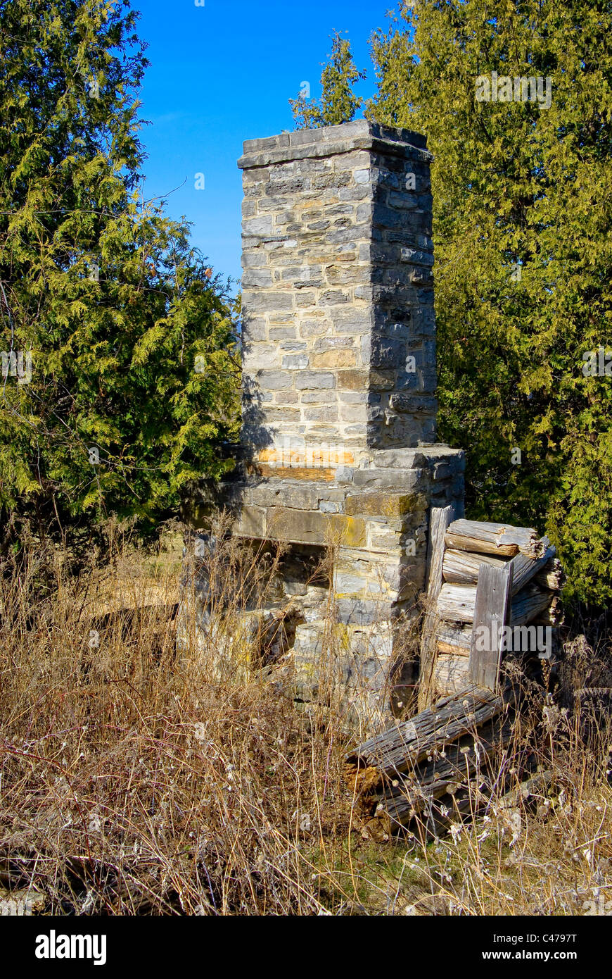 A Fireplace And Chimney Make Up Part Of The Ruins Of A 19th