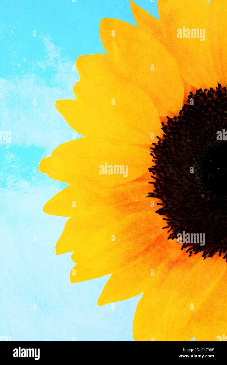 Half blue half yellow sky hires stock photography and images Alamy