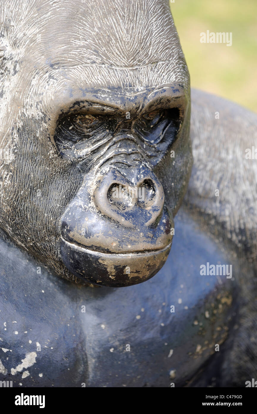 gorilla twycross zoo england uk Stock Photo - Alamy
