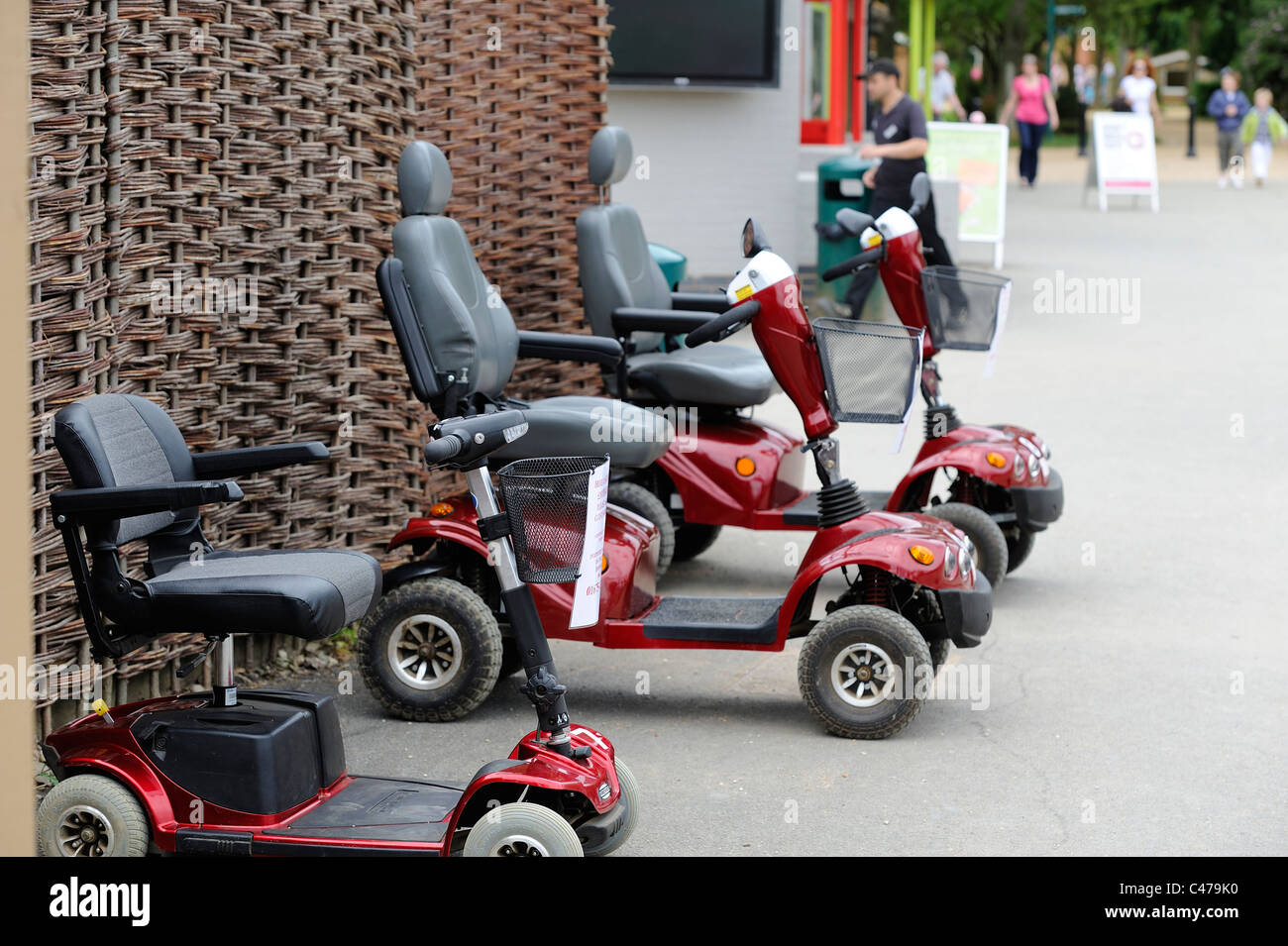 mobility scooters lined up waiting to be hired twycross zoo england uk Stock Photo