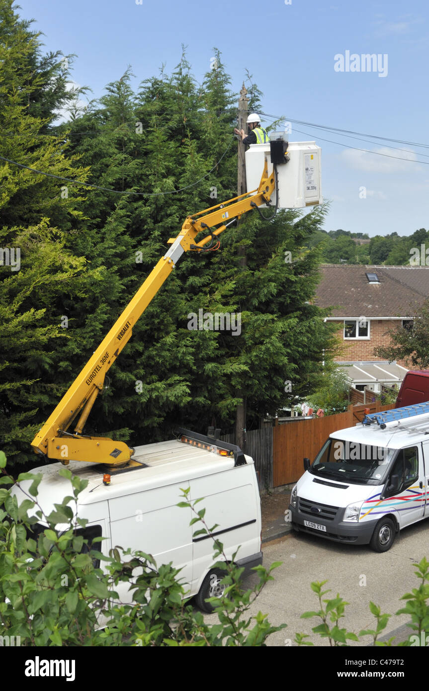 Woman BT engineer replacing tree damaged telephone cable using a mobile