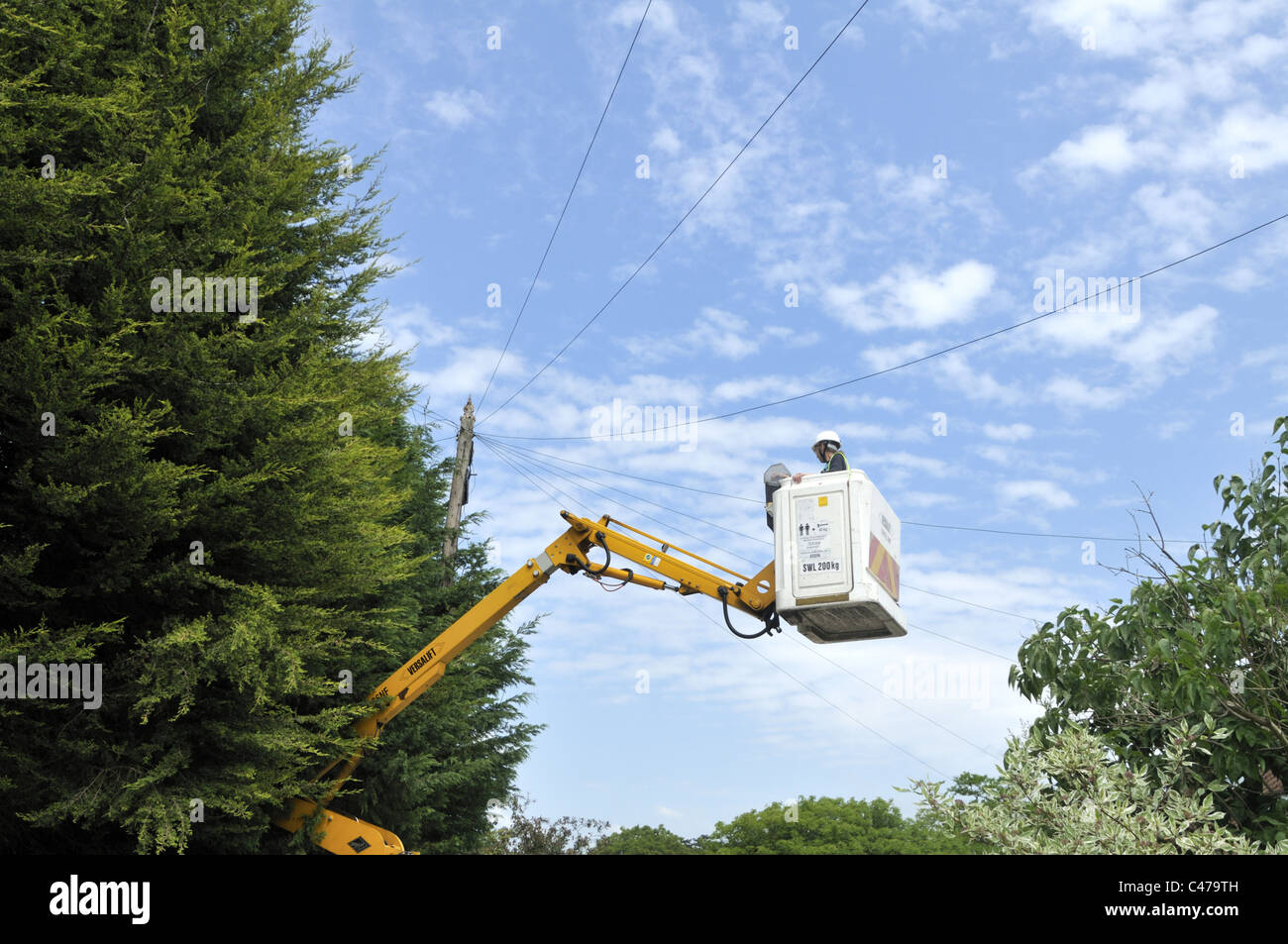 Woman BT engineer replacing tree damaged telephone cable using a mobile