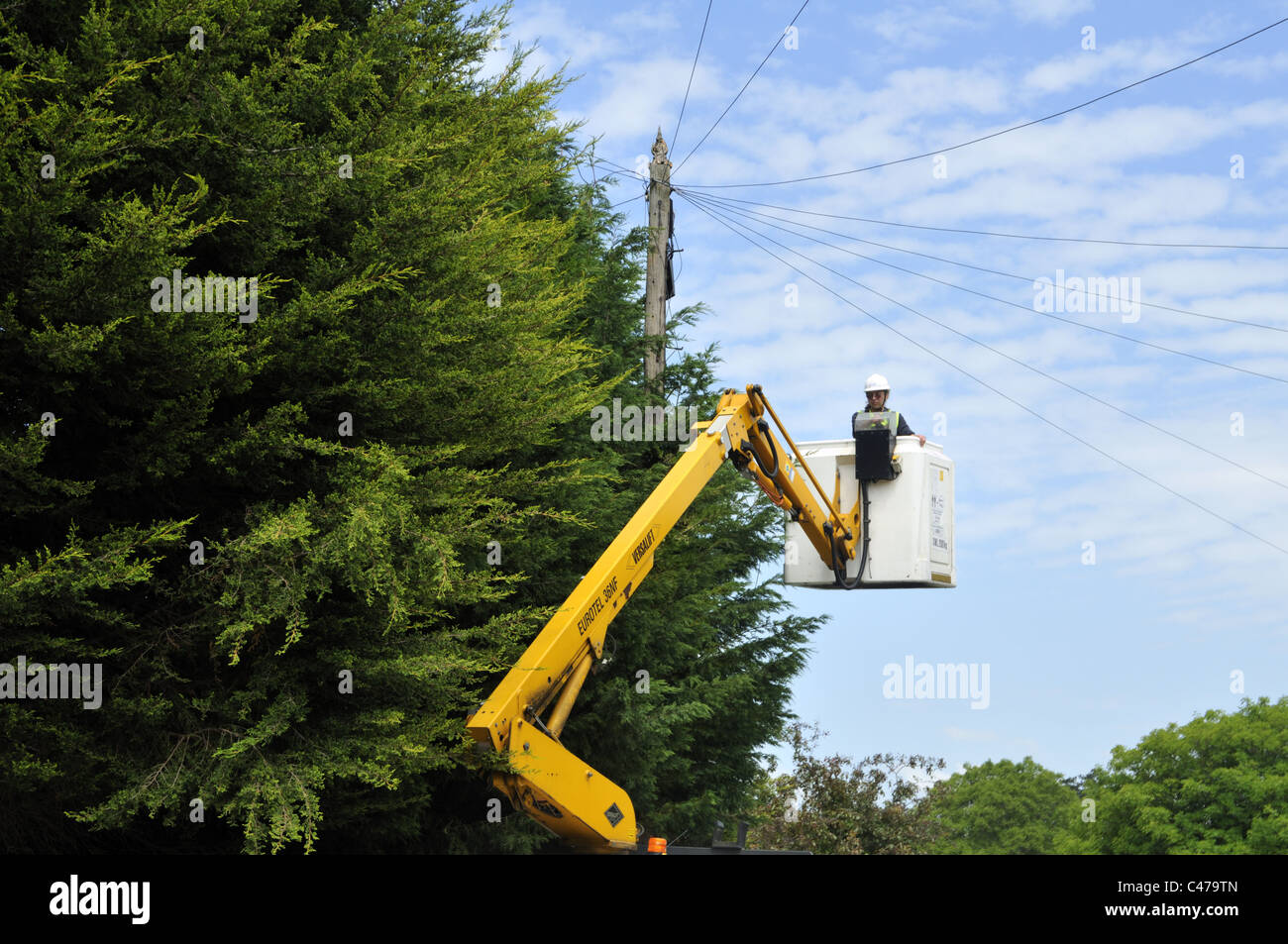 Woman BT engineer replacing tree damaged telephone cable using a mobile