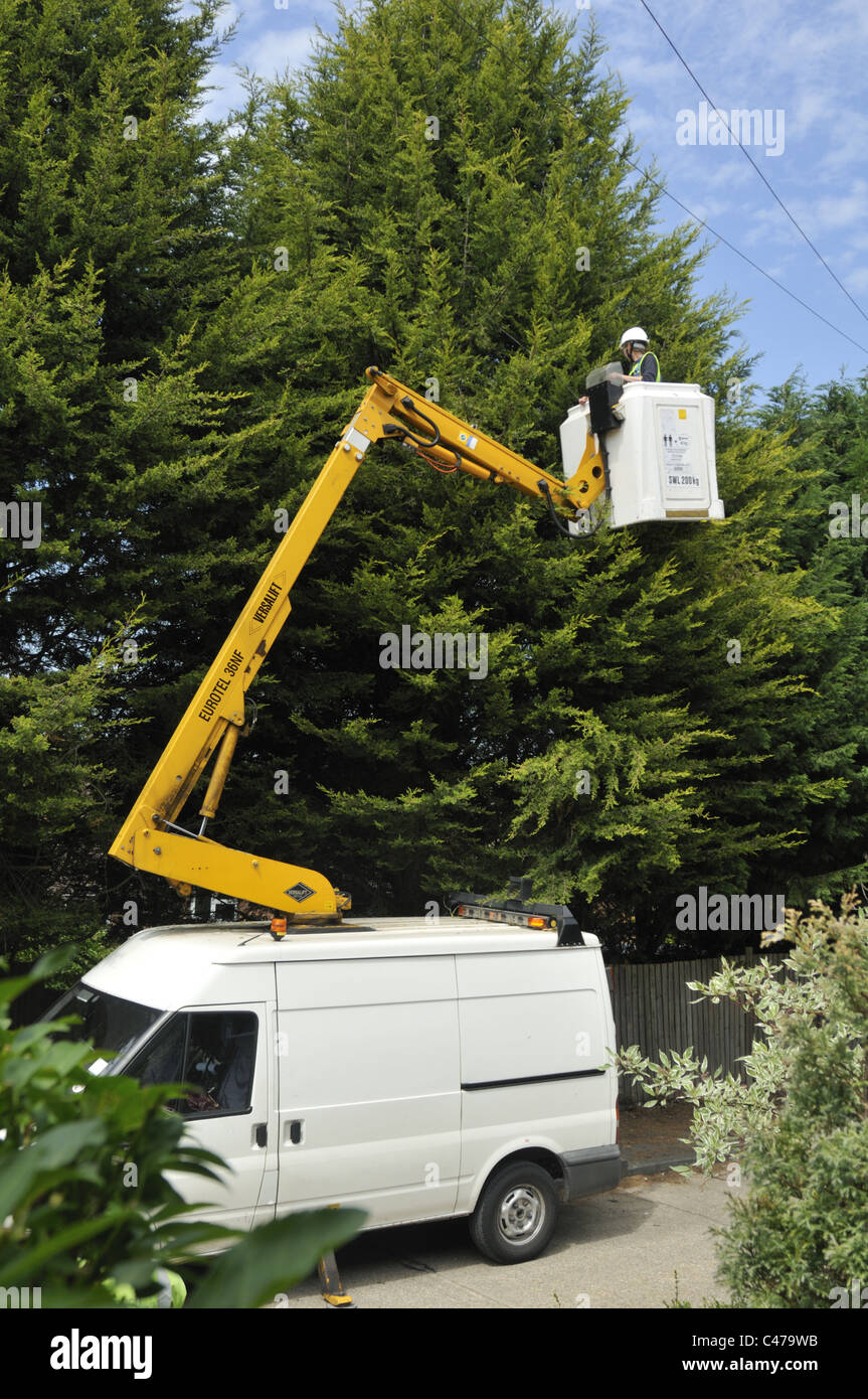 BT engineer replacing tree damaged telephone cable using a mobile hoist