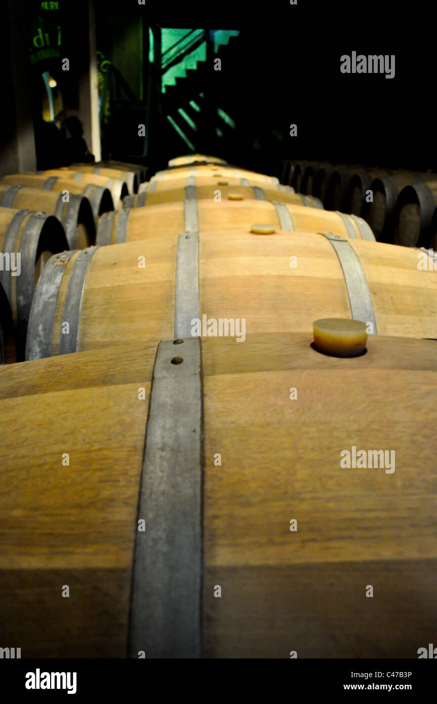 Wine Barrels Lined Up in a Row Stock Photo - Alamy