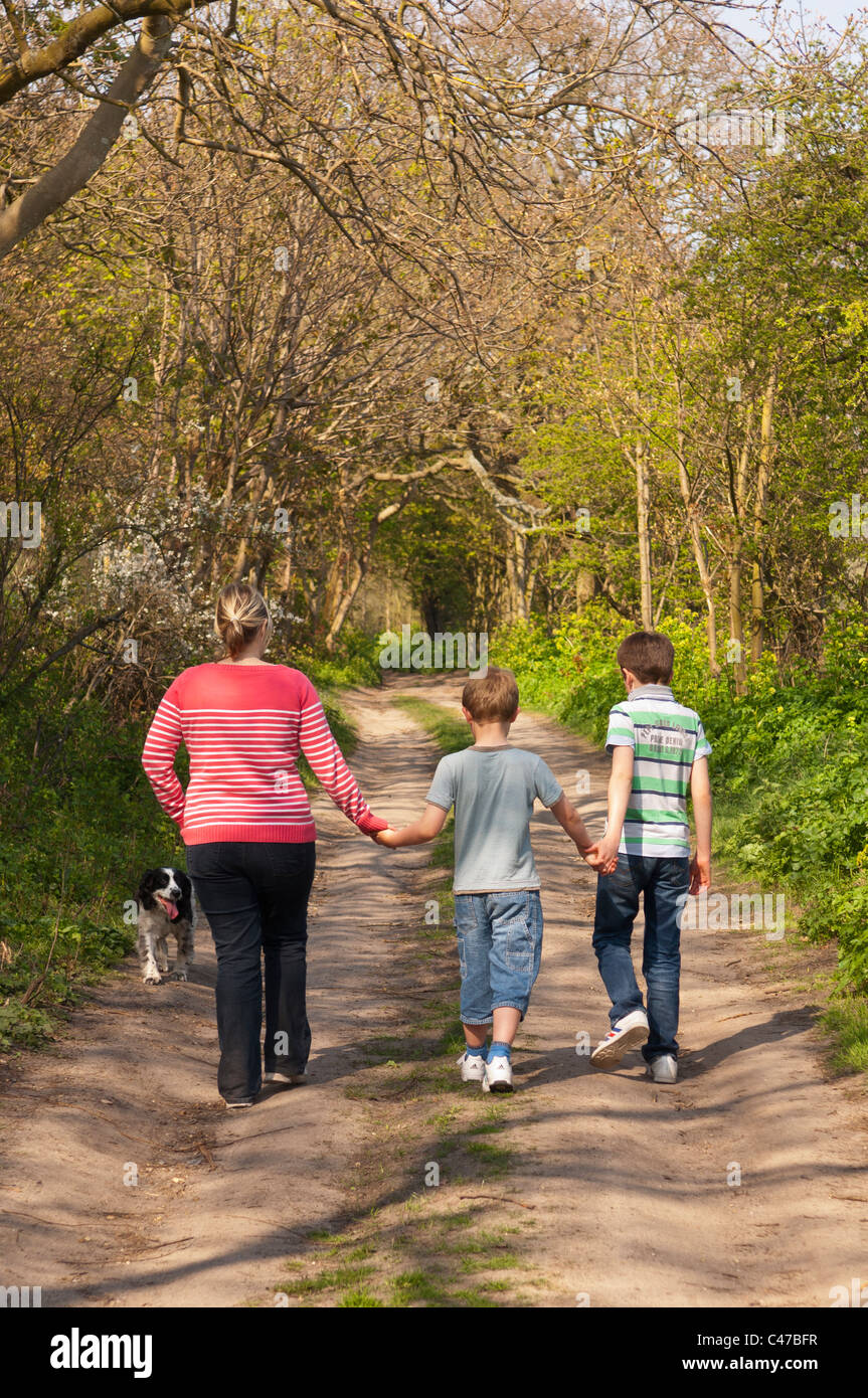 A mother and her two sons walk the dog down a country track in Spring in the Uk Stock Photo