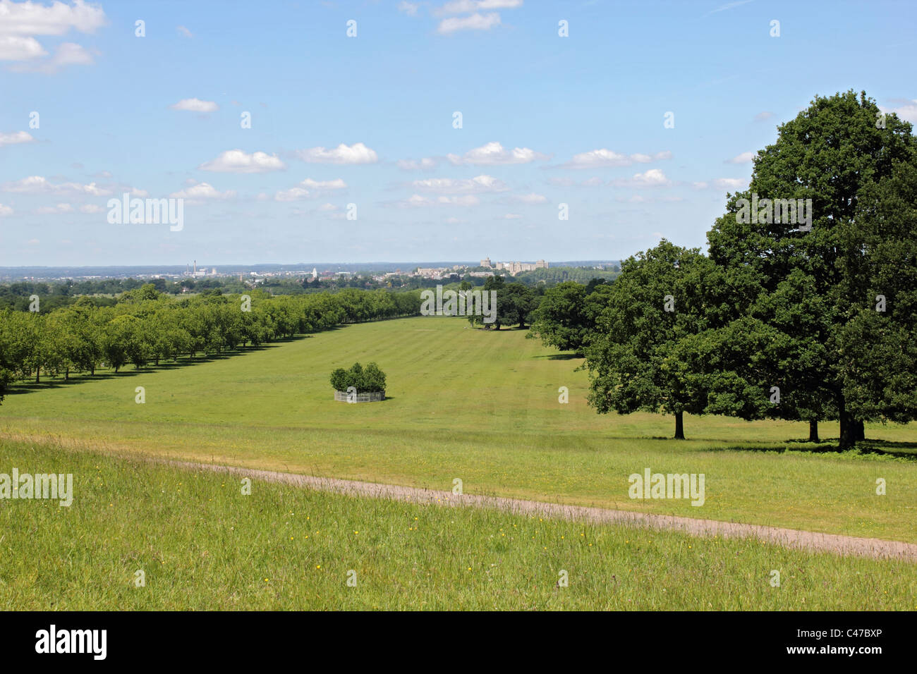 Windsor Great Park, Berkshire, England, UK Stock Photo