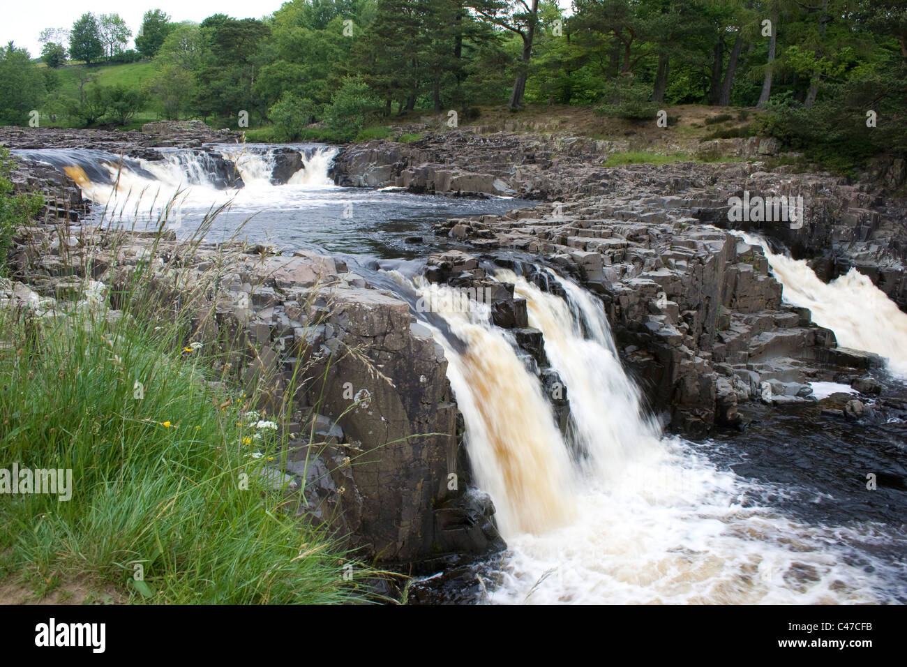 the River Tees at Low Force, Teesdale, County Durham Stock Photo