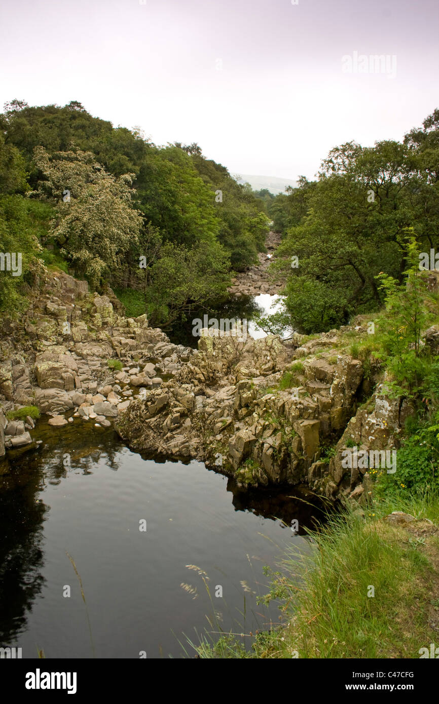 deep pools on the River Tees at Low Force, Teesdale, County Durham Stock Photo