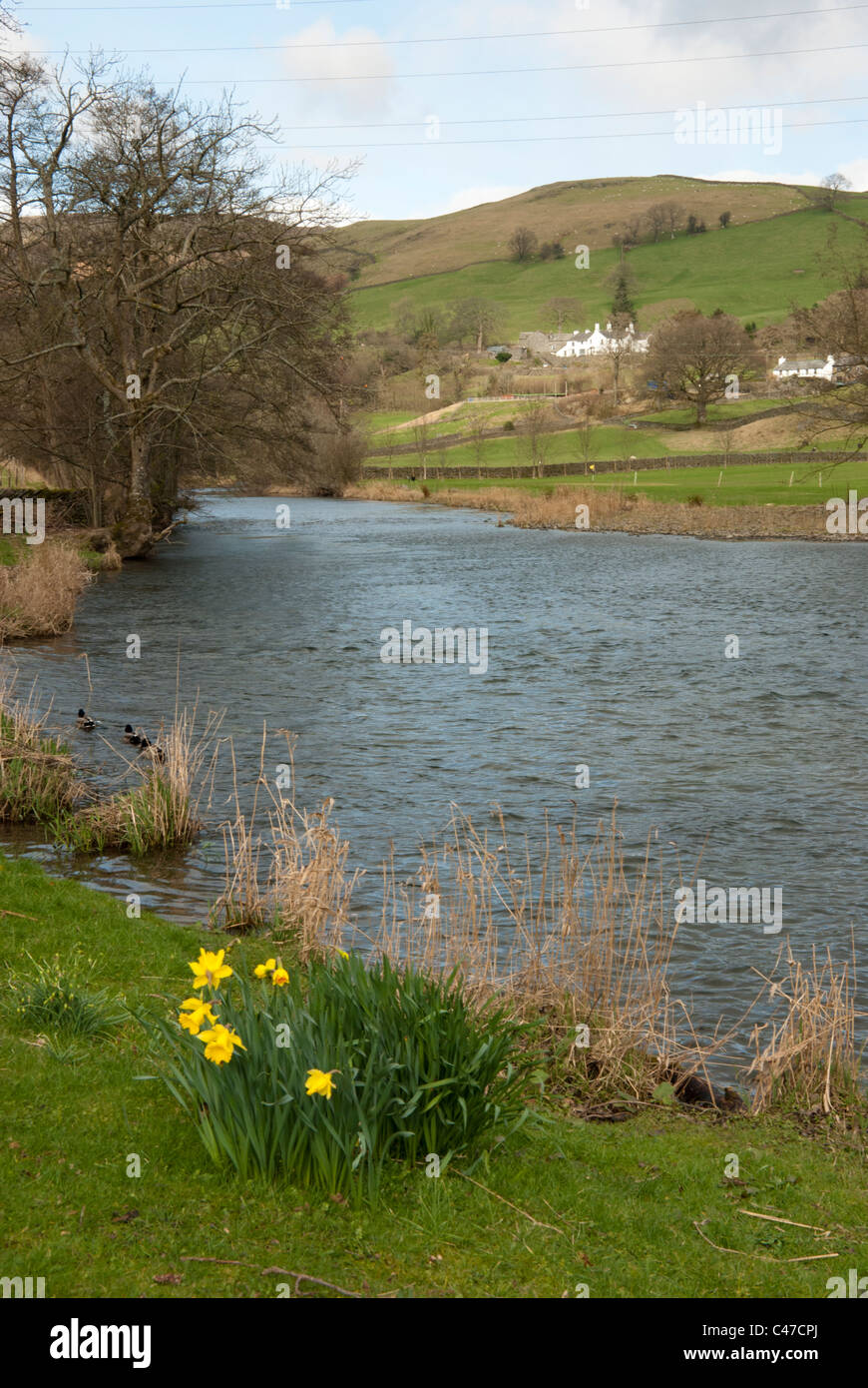 The River Kent, near Staveley, Cumbria Stock Photo