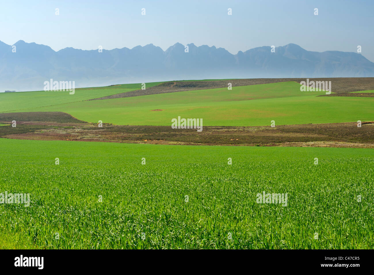 View of agricultural fields and the Langeberg mountain range from the N2 highway in South Africa's Western Cape Province. Stock Photo