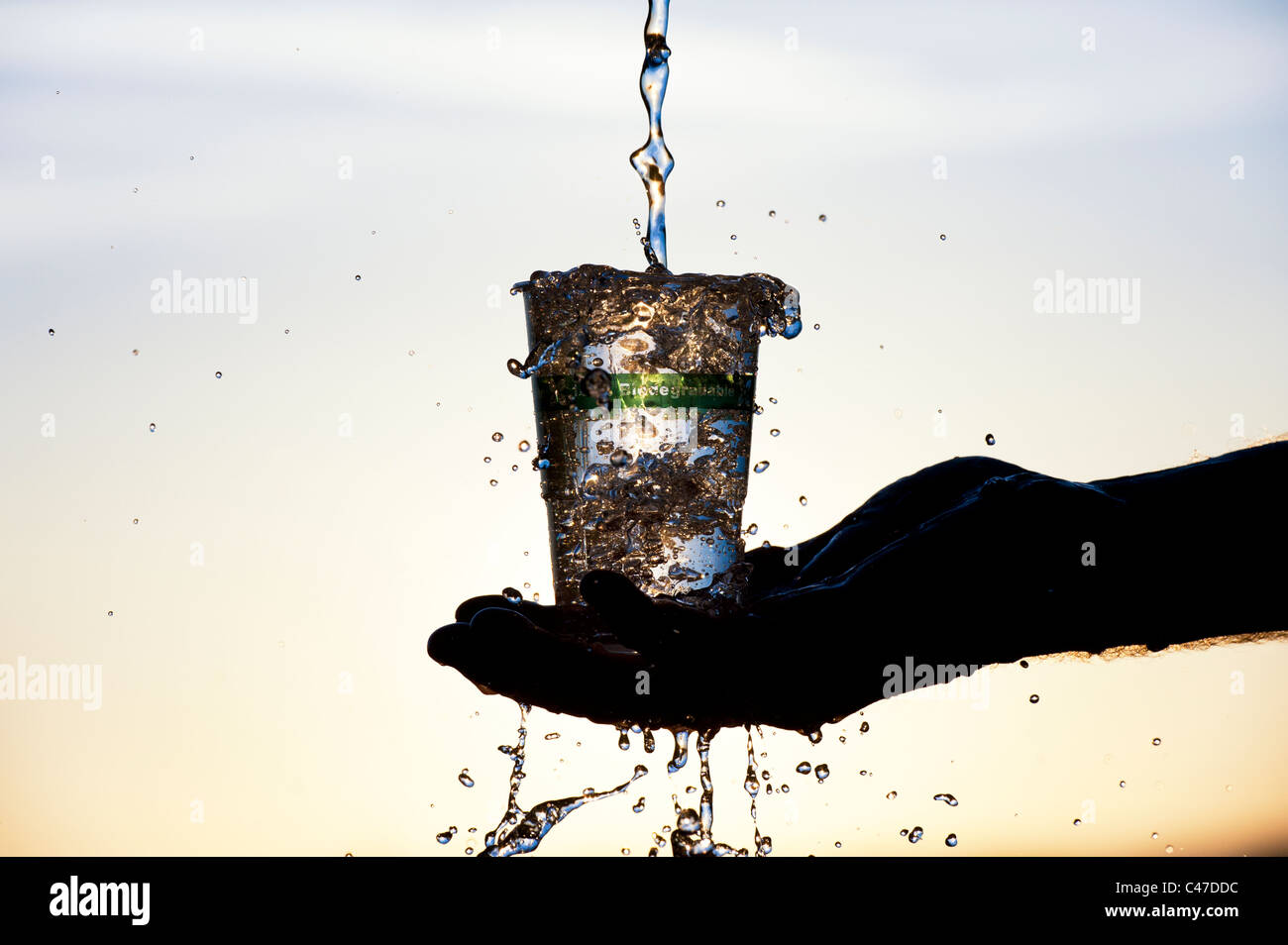 Pouring water into a Biodegradable, Compostable plastic free cup made