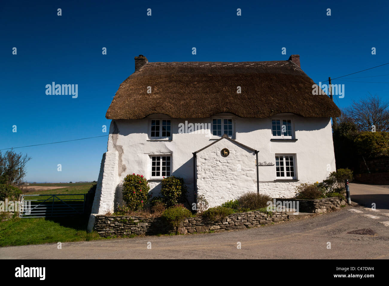 A Traditional thatched Cottage On The Roseland Peninsula In Cornwall