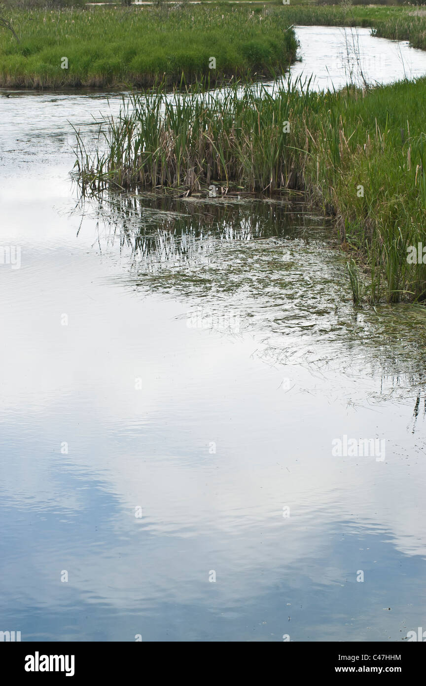 Reflection at the Metcalf Wildlife Refuge in the Bitterroot Valley of