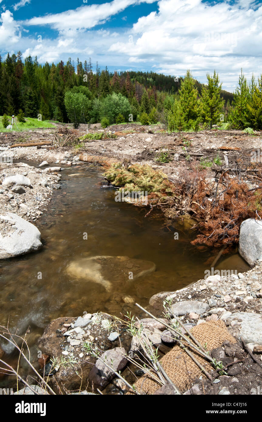 Coconut core is used as a base for re-planting willows as part of the Sauerkraut Creek stream restoration project. Stock Photo