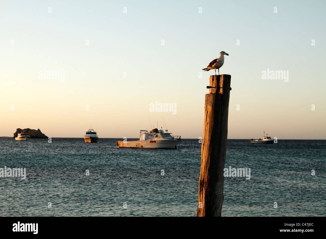 Fishing Boats at anchor, Hamlin Bay, Southwest Australia Stock Photo