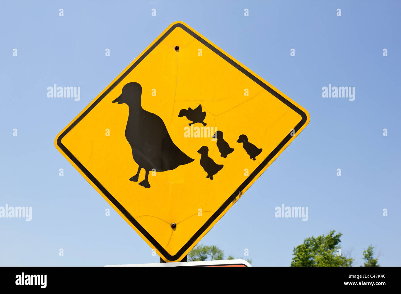 Duck road sign - bird family on the road Stock Photo