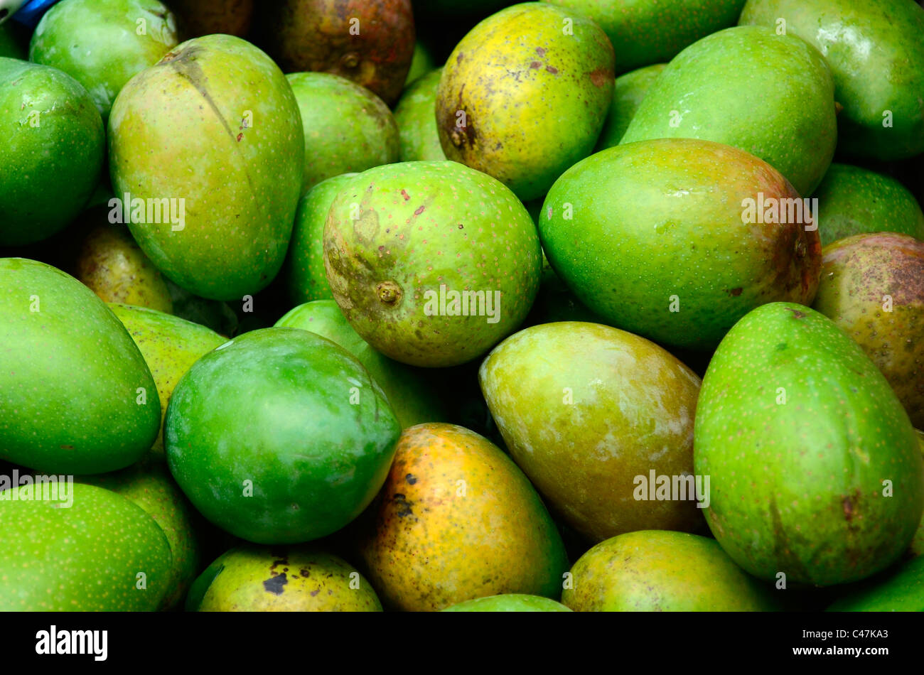 Indian green mango hires stock photography and images Alamy