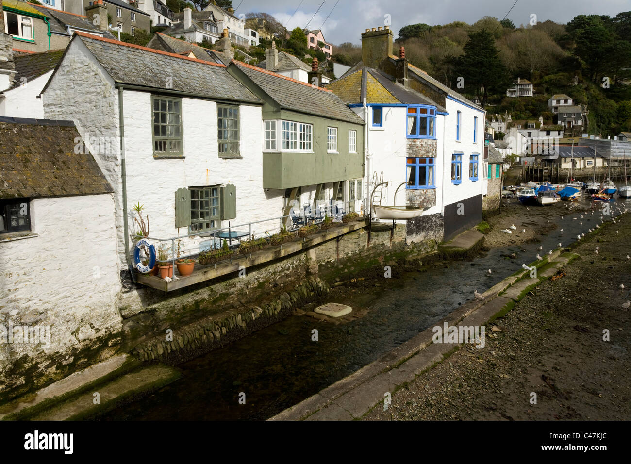 Cornish house / houses / home / homes / residential property over