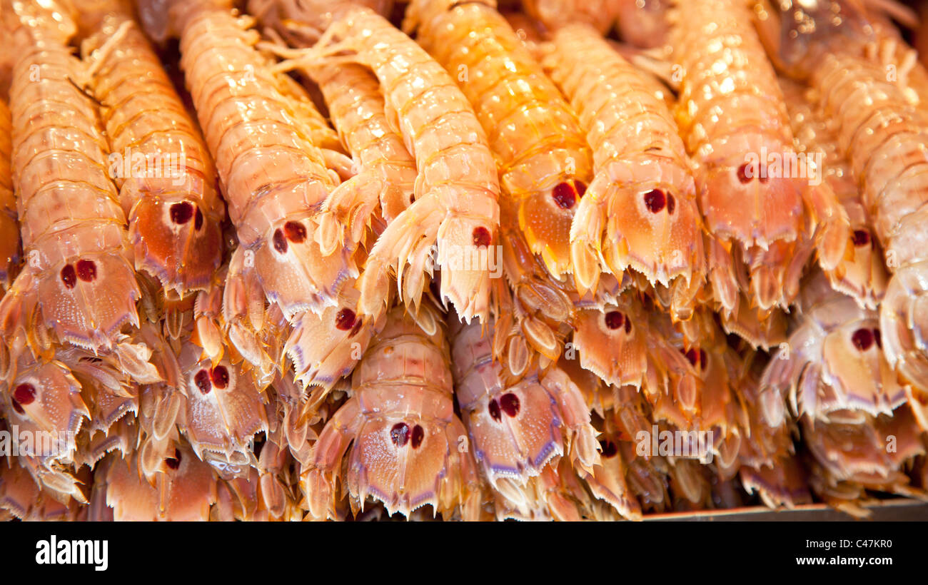 Pile of shrimps Stock Photo