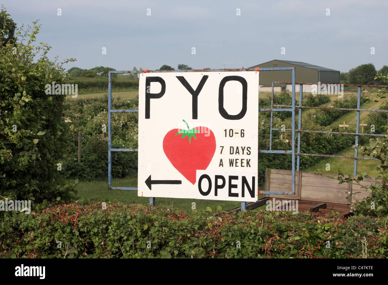 Pick your own sign UK Stock Photo