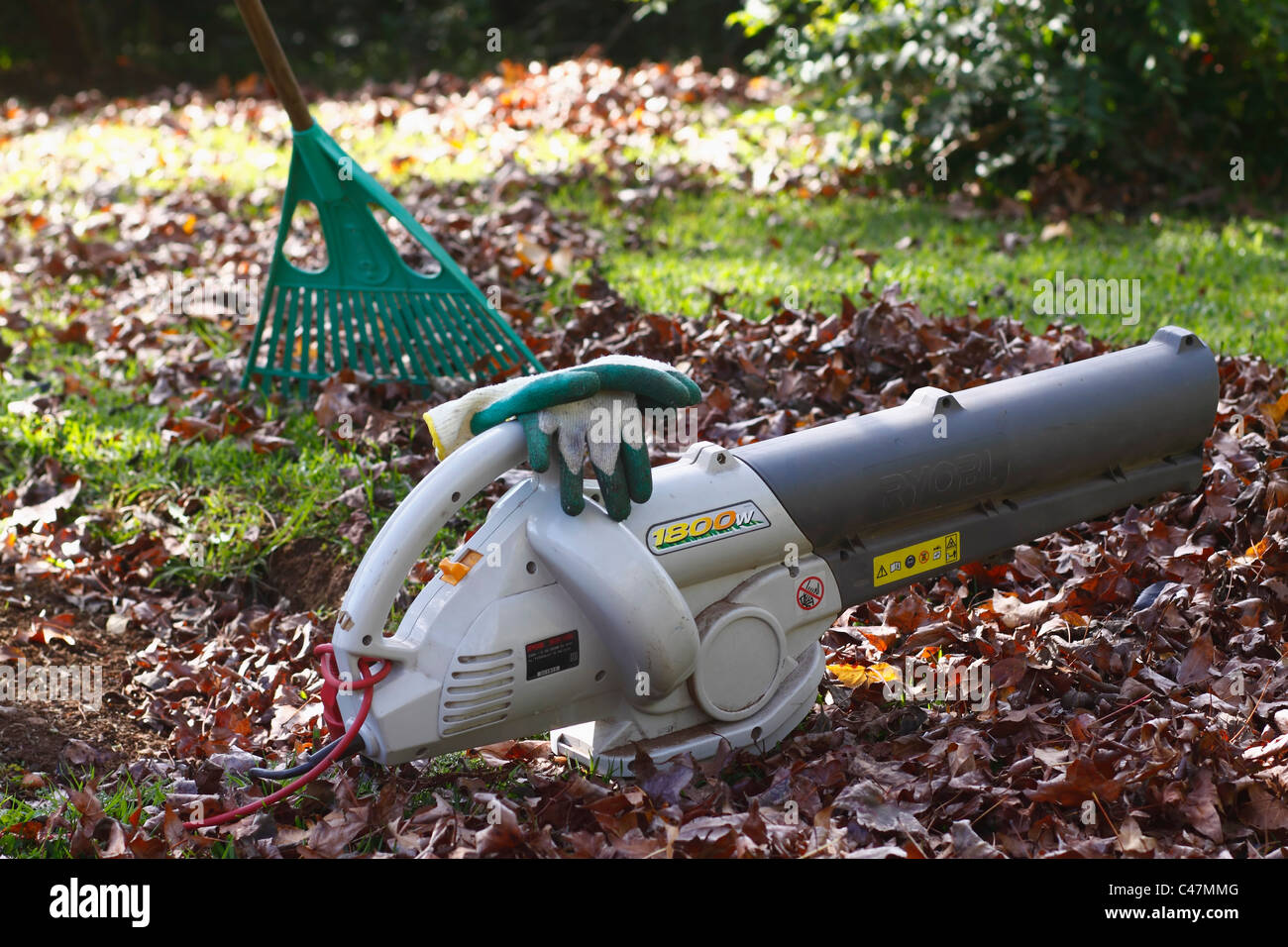 Rake and electric leaf blower on a lawn covered in autumn leaves Stock
