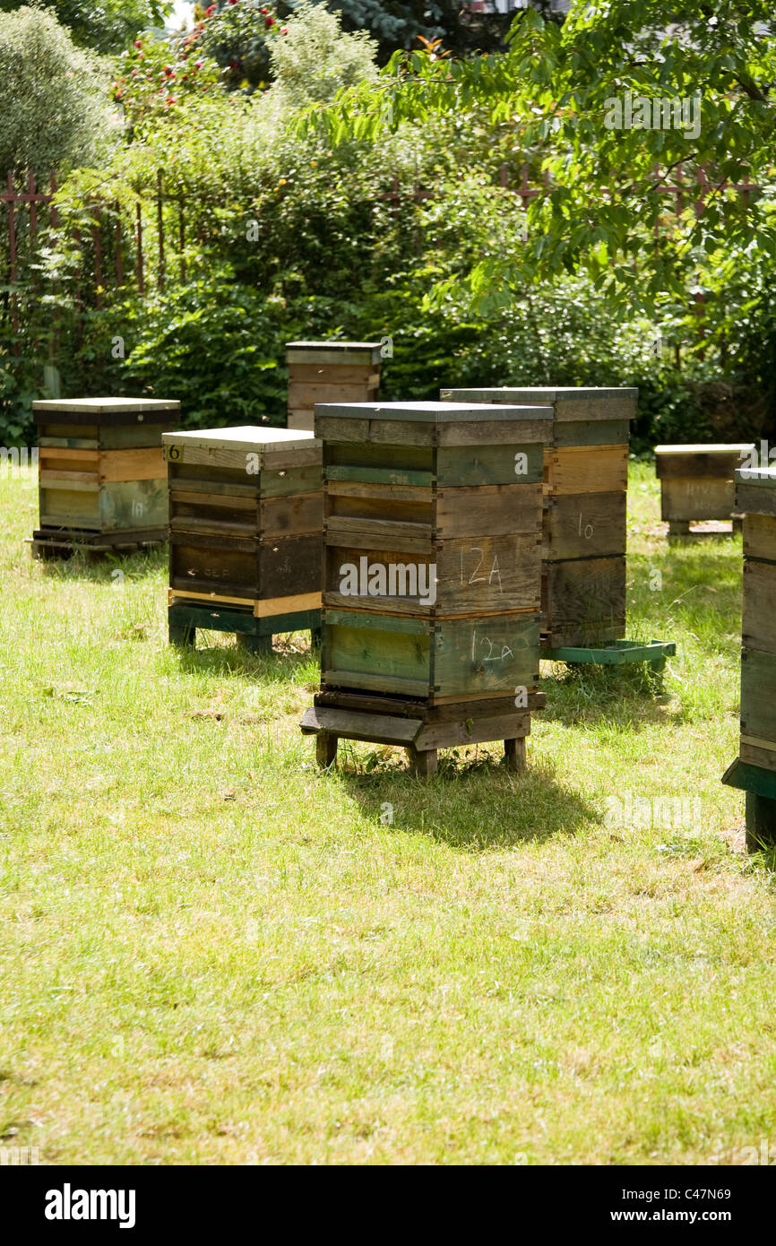 Bee hives london hi-res stock photography and images - Alamy