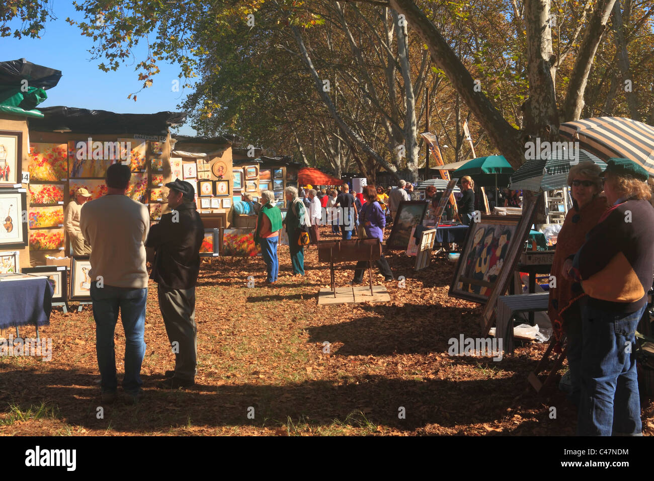 Outdoor art exhibition at the annual Art in the Park festival