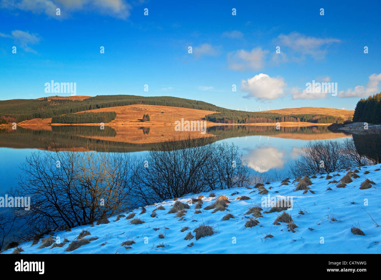 Carron Valley Reservoir in the Carron Valley Forest near Denny Stock
