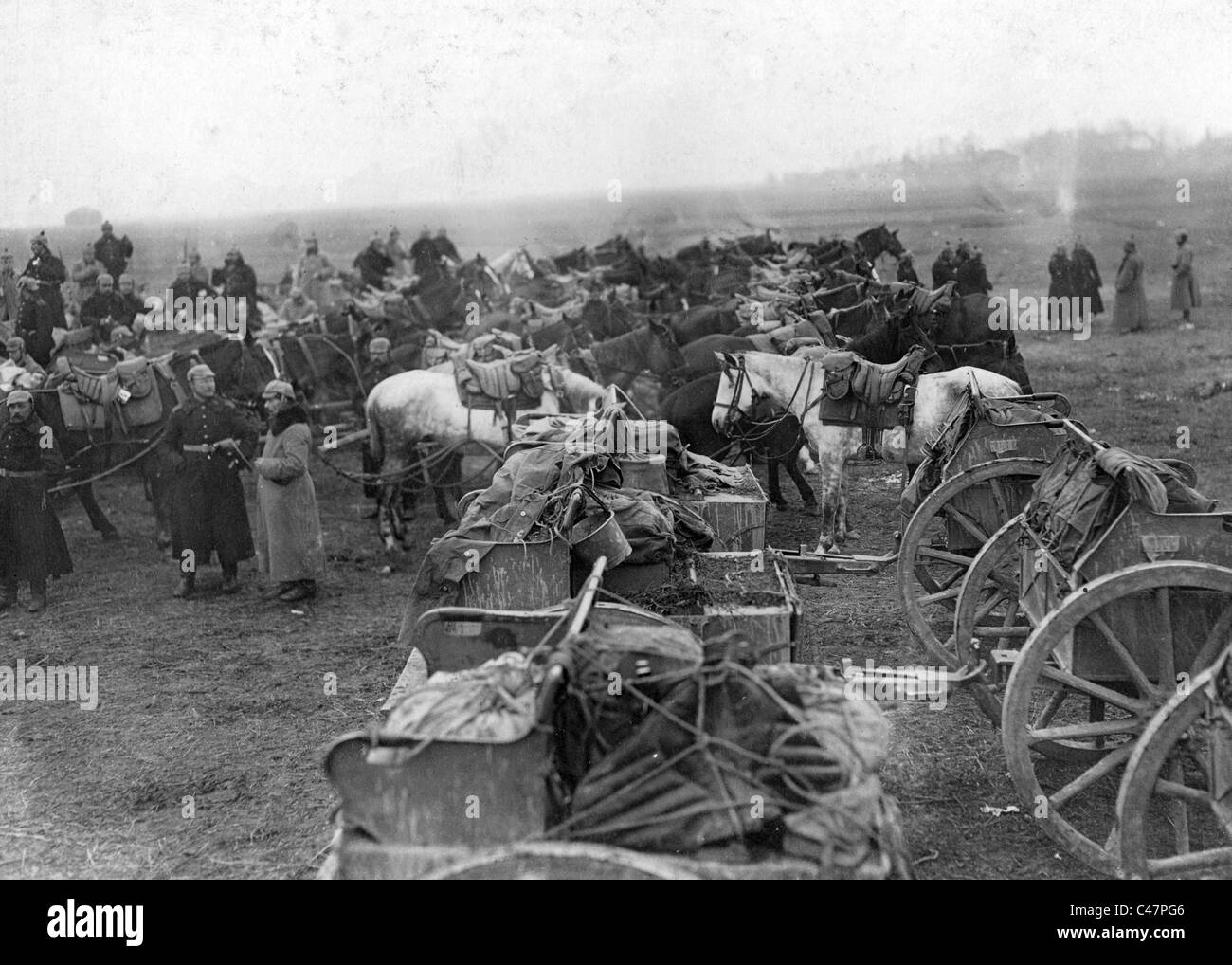 Horse Artillery First World War Stock Photos & Horse Artillery First ...