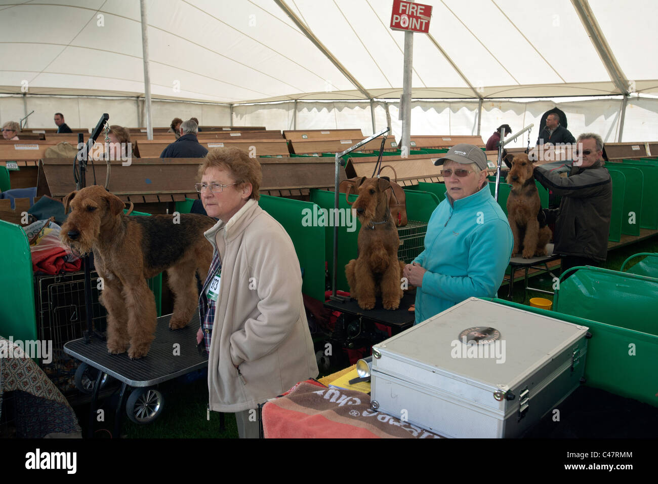 dog owners and terriers at the scottish kennel club show Stock Photo