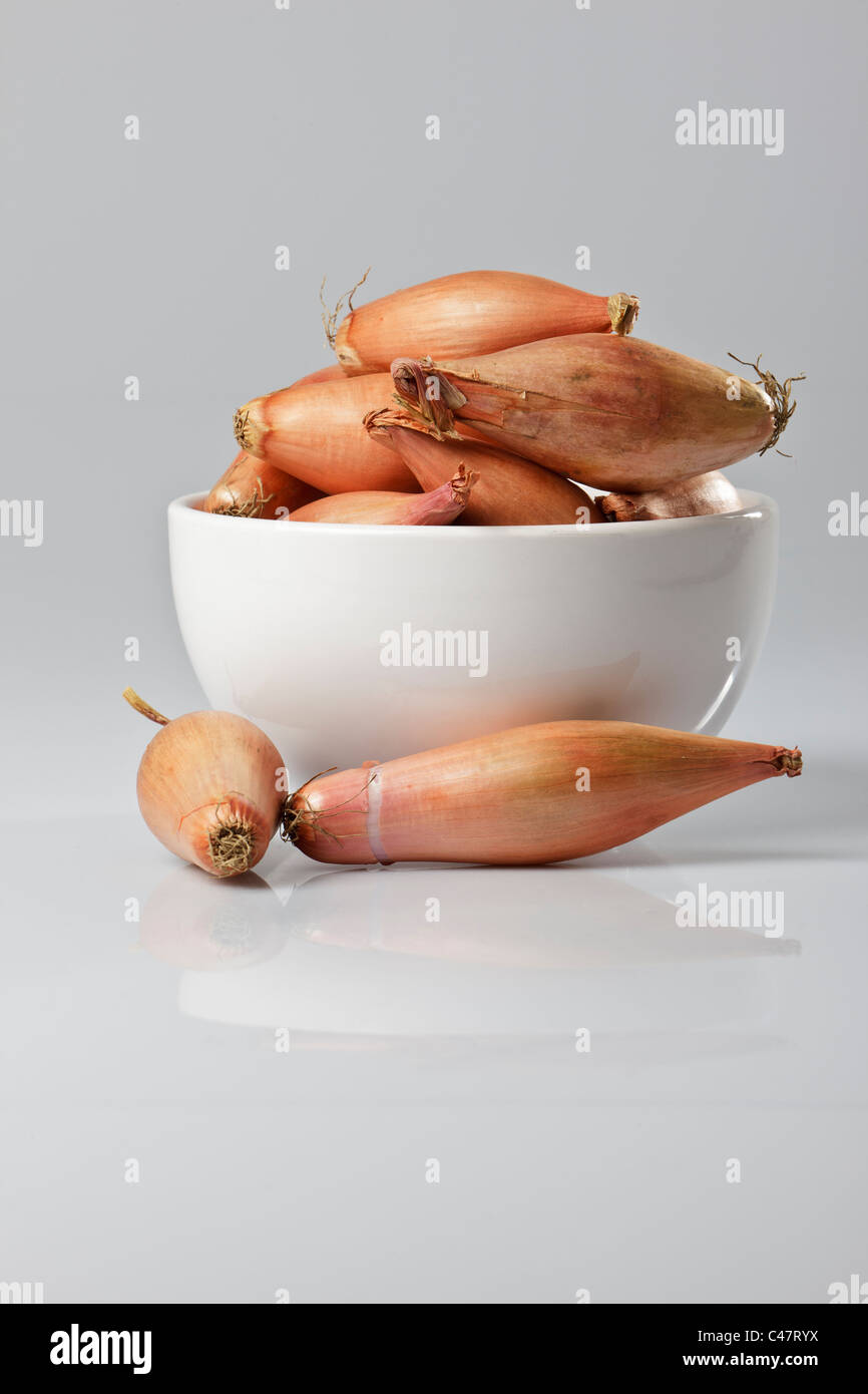 Best Echalion Shallots Royalty-Free Images, Stock Photos & Pictures