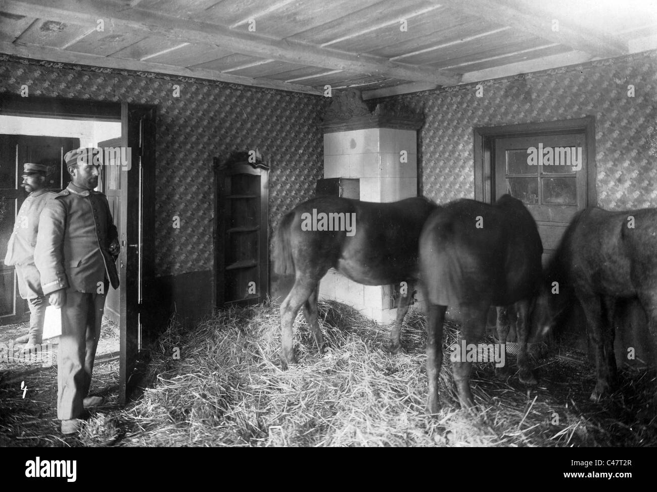 Captured Russian horses in a farmhouse, 1914 Stock Photo