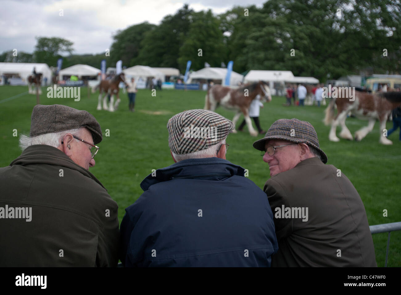 three men watch a horse show in fife scotland Stock Photo