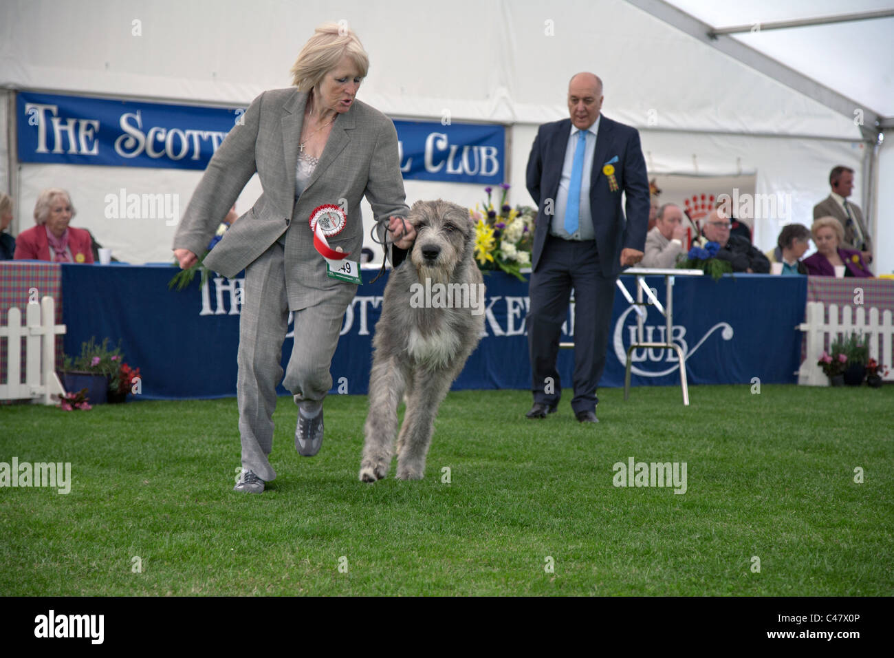 woman with wolfhound at edinburgh dog show Stock Photo
