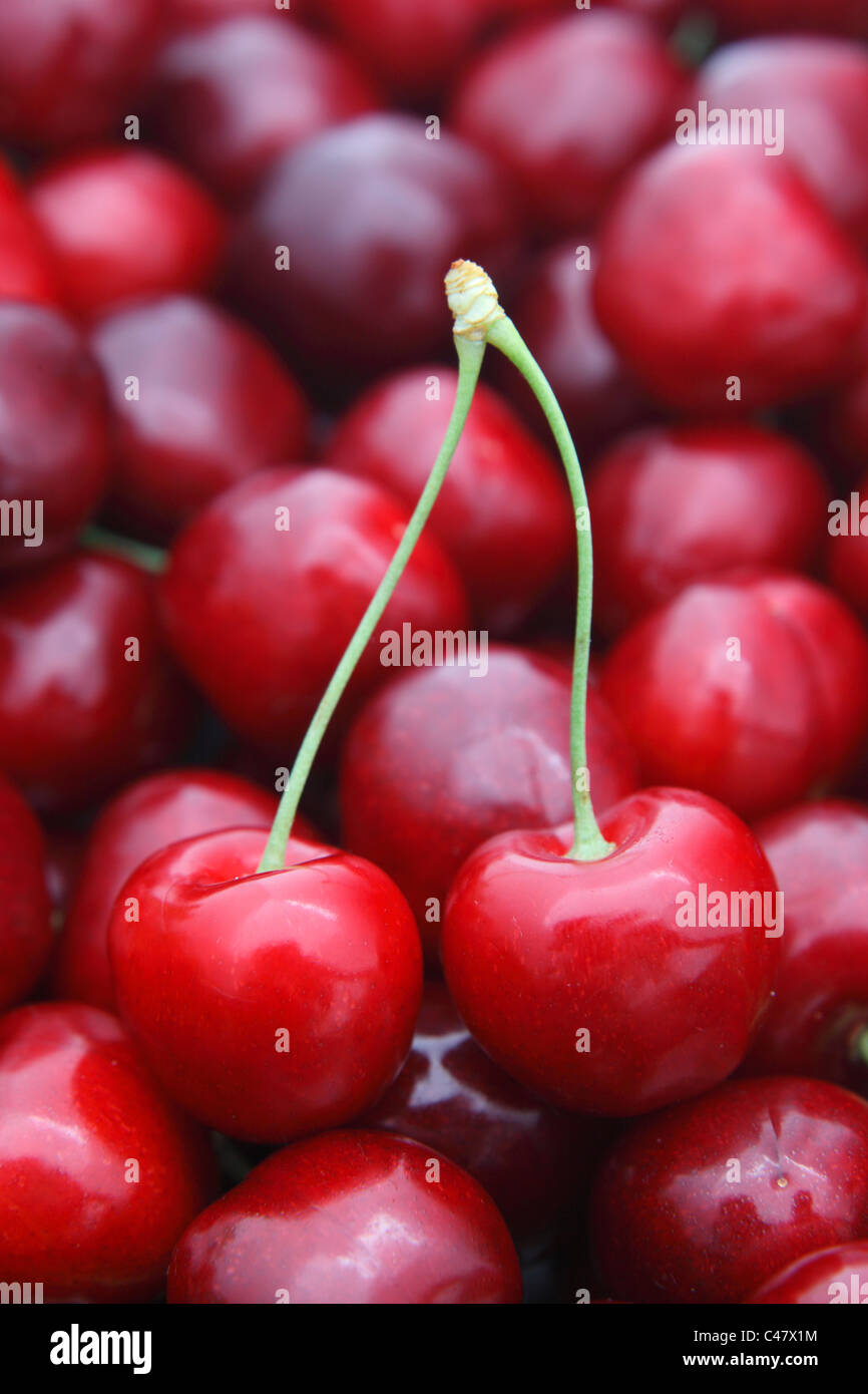 Cherry Stock Photo Alamy