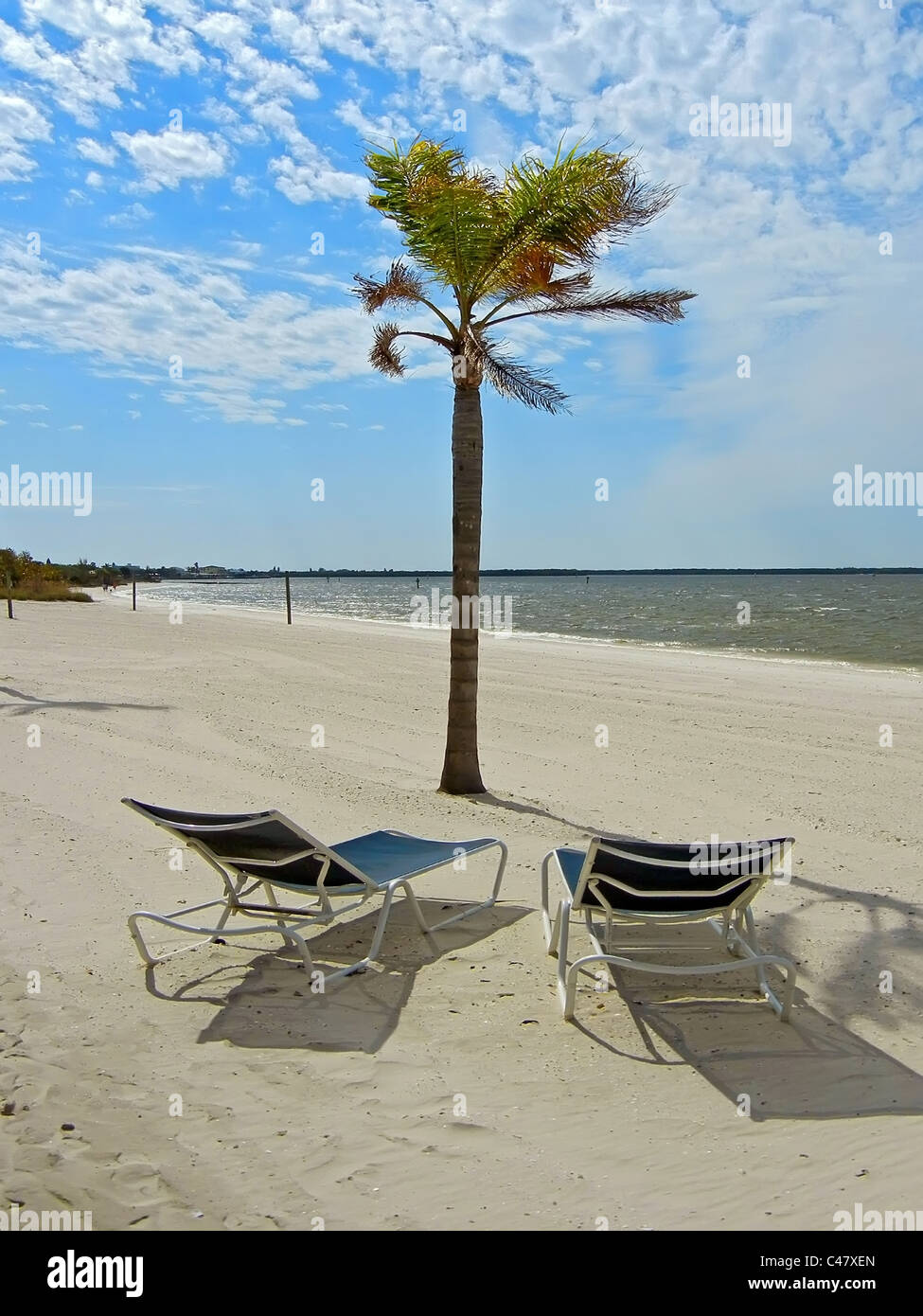 Two chairs on a beach with palm tree Fort Myers Beach Florida Stock Photo