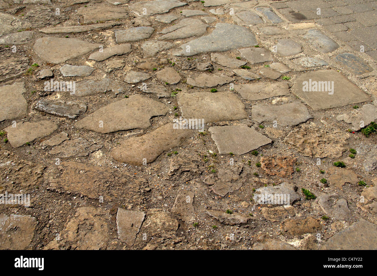 Bethersden Marble High Resolution Stock Photography and Images - Alamy
